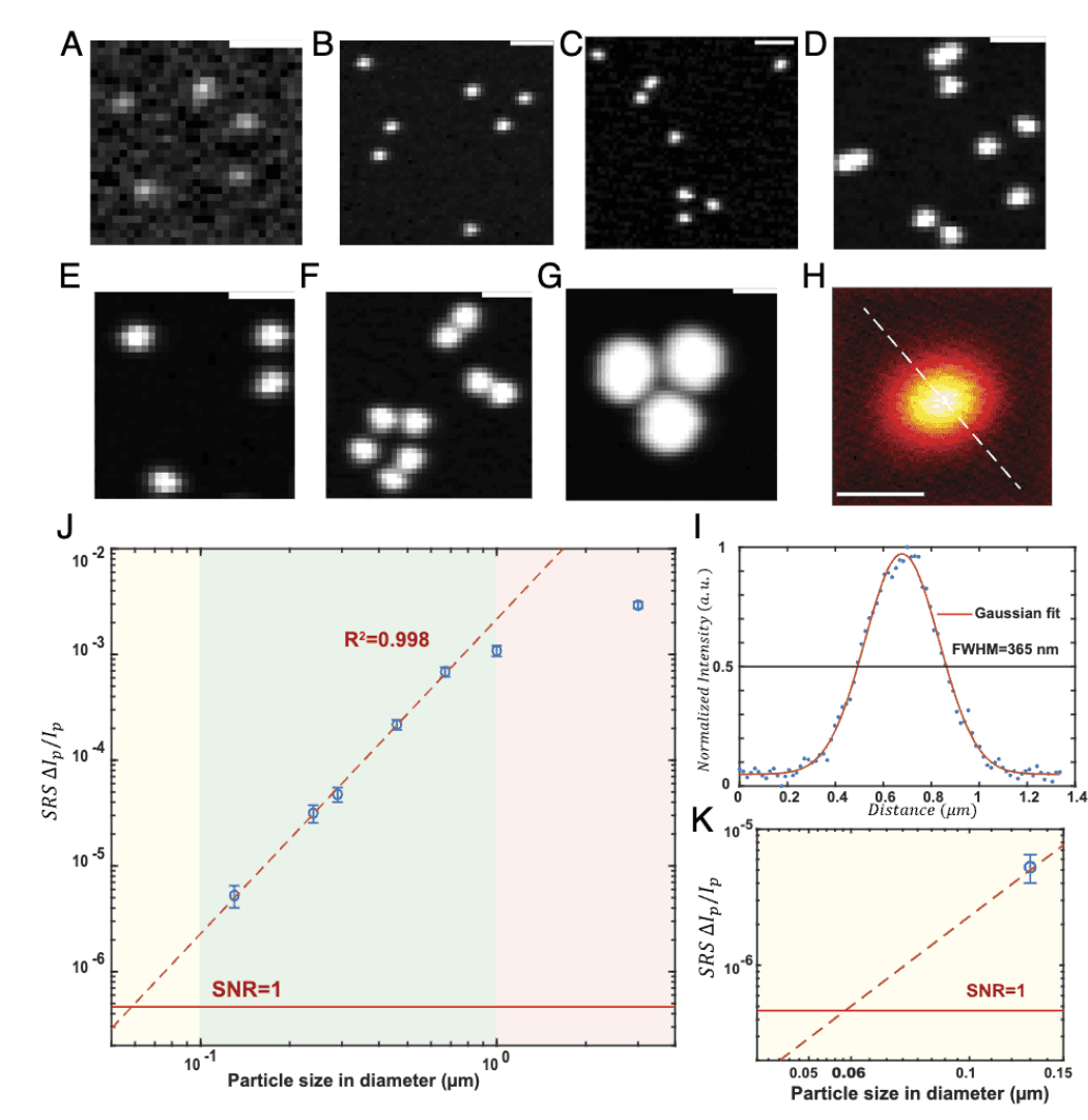 SRS imaging of standard PSmicro- nano spheres for detection sensitivity and resolution characterization