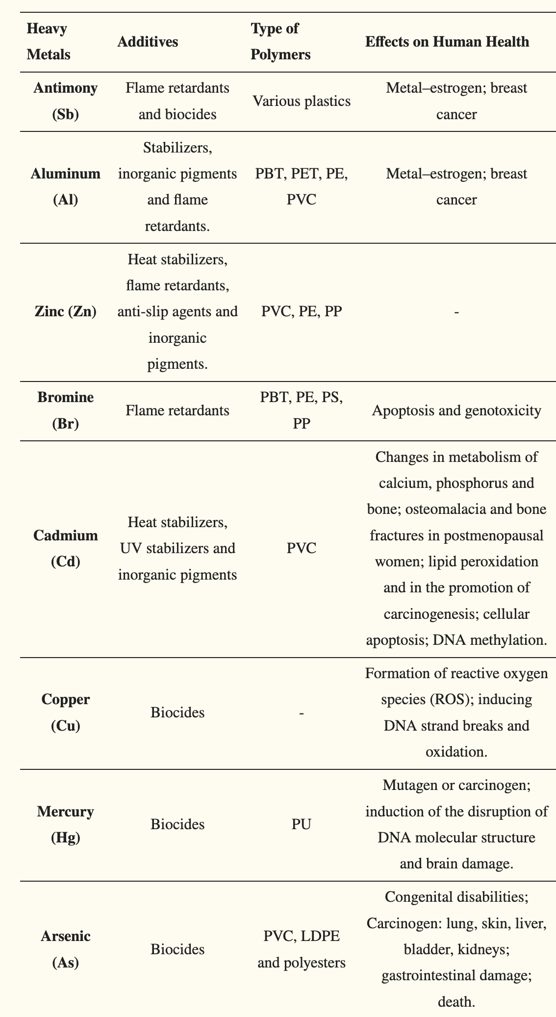 Main use of heavy metals as additives in polymer products and their effects on human health