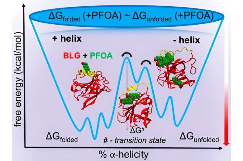 Nanoplastics and 'forever chemicals' shown to disrupt molecular structures and functionality