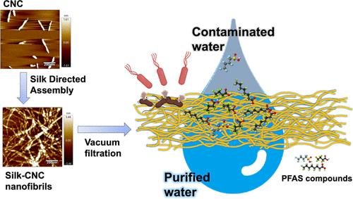 silk membrane 