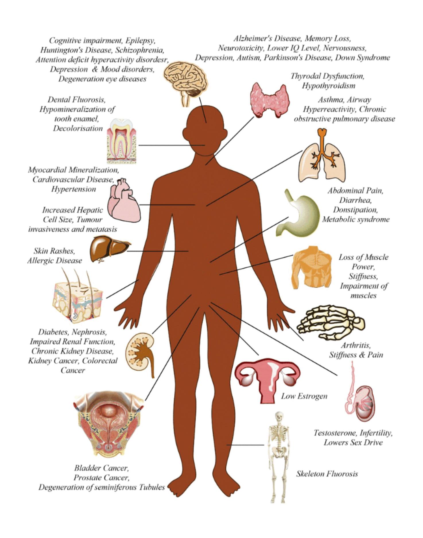 Fluoride dangers