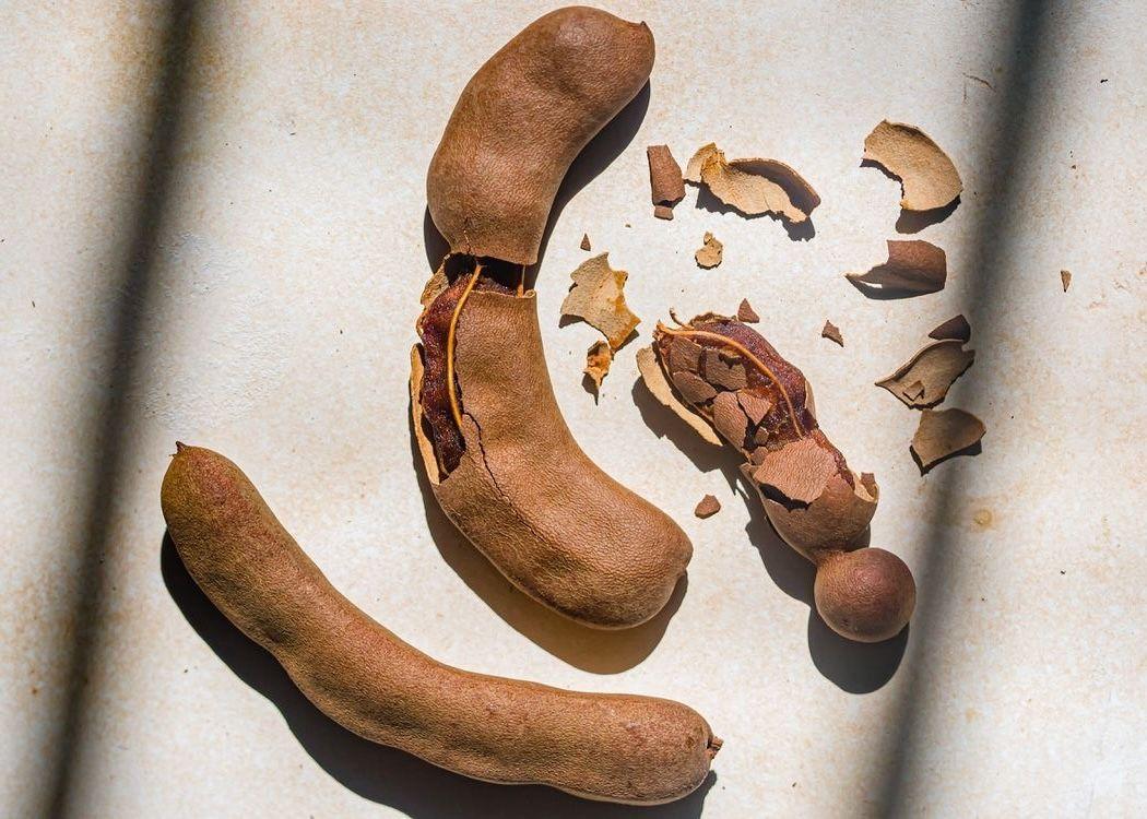 Tamarind found to remove fluoride from your body