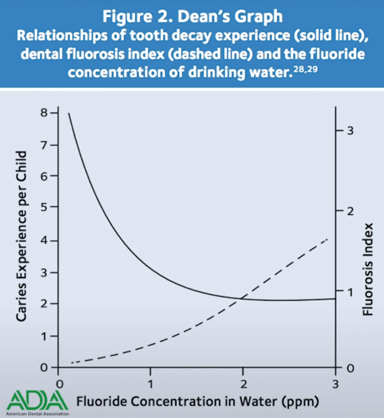 Fluoride Effect on Tooth Decay